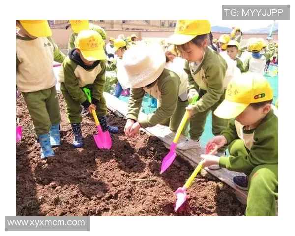 星空娱乐：让每一个快乐瞬间在璀璨星空下闪耀光芒